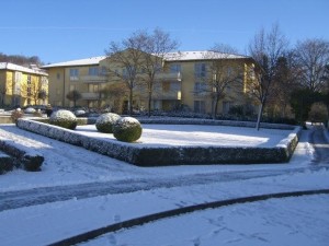 olimpiadi 2008 dresda