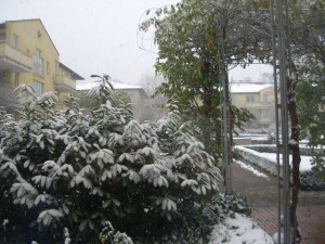 olimpiadi 2008 dresda