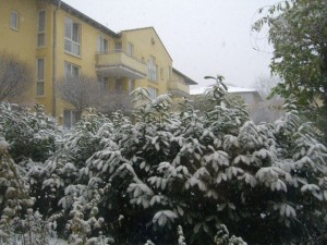 olimpiadi 2008 dresda