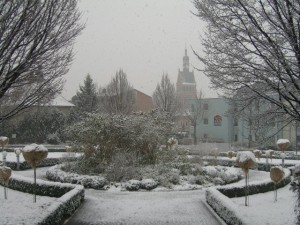 olimpiadi 2008 dresda