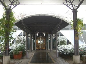 olimpiadi 2008 dresda