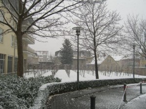 olimpiadi 2008 dresda