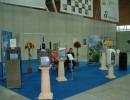r01   dscf0167